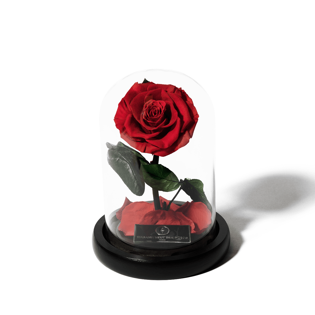 Rose éternelle sous cloche - Madame Veut Des Roses