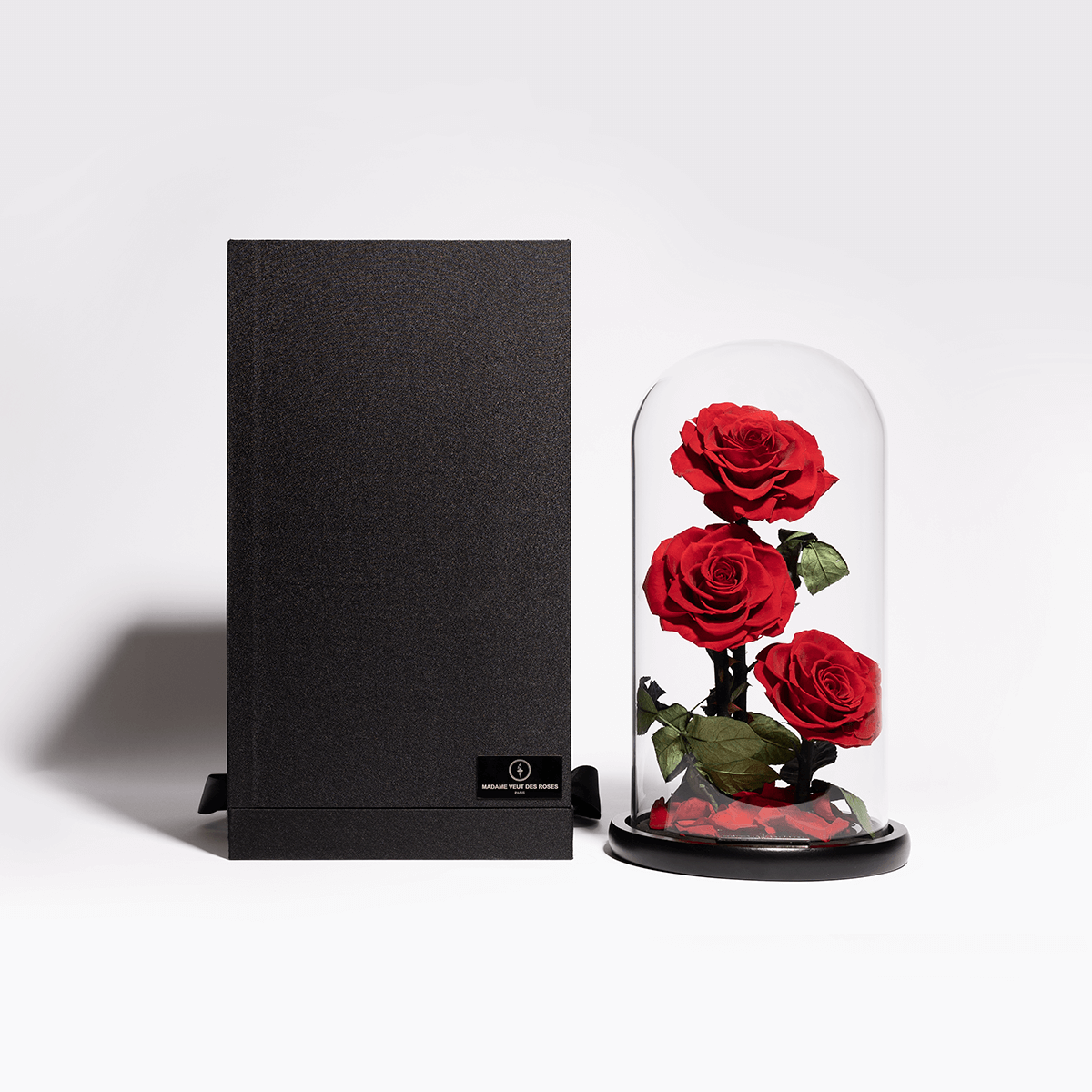 Rose éternelle sous cloche - Madame Veut Des Roses