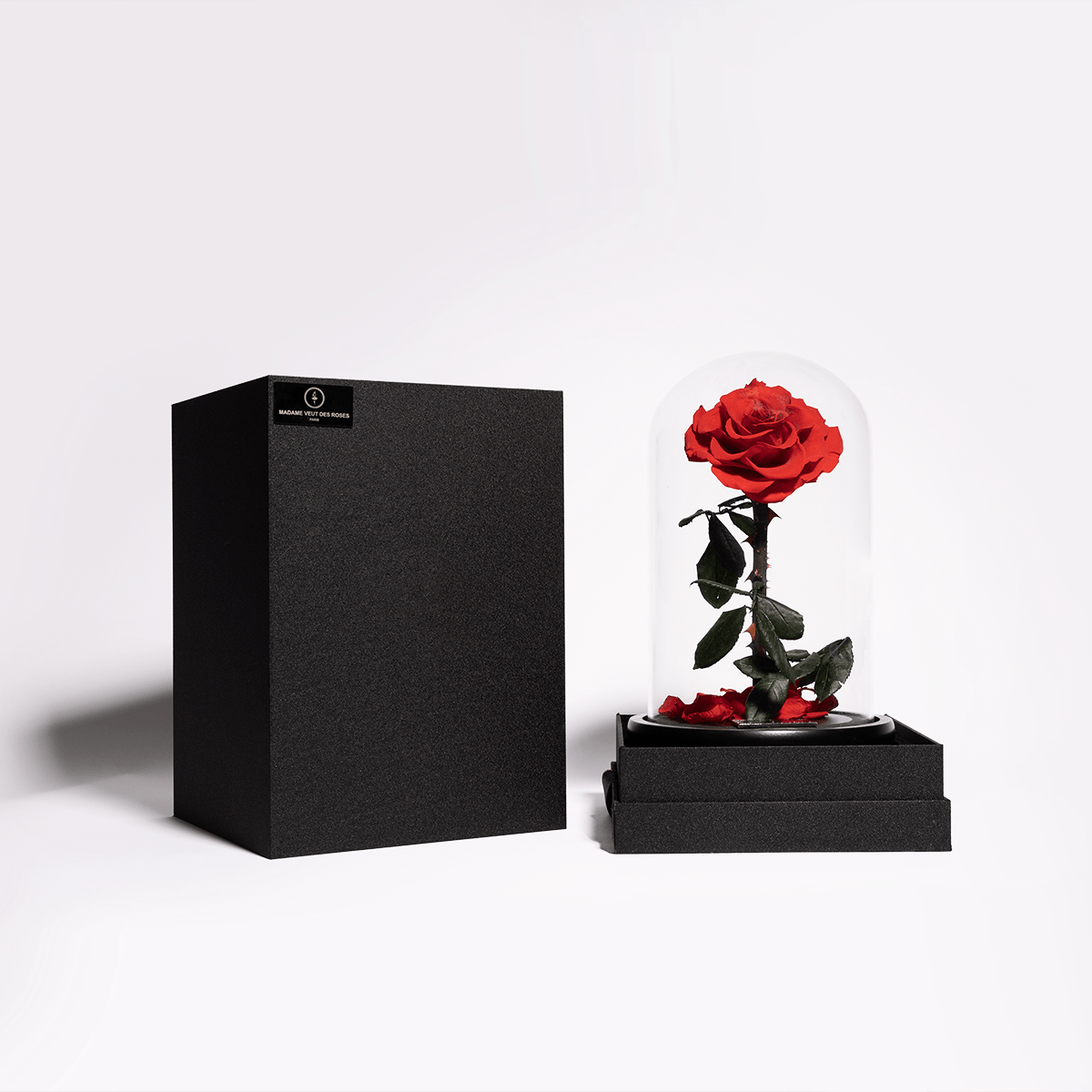Rose éternelle sous cloche - Madame Veut Des Roses