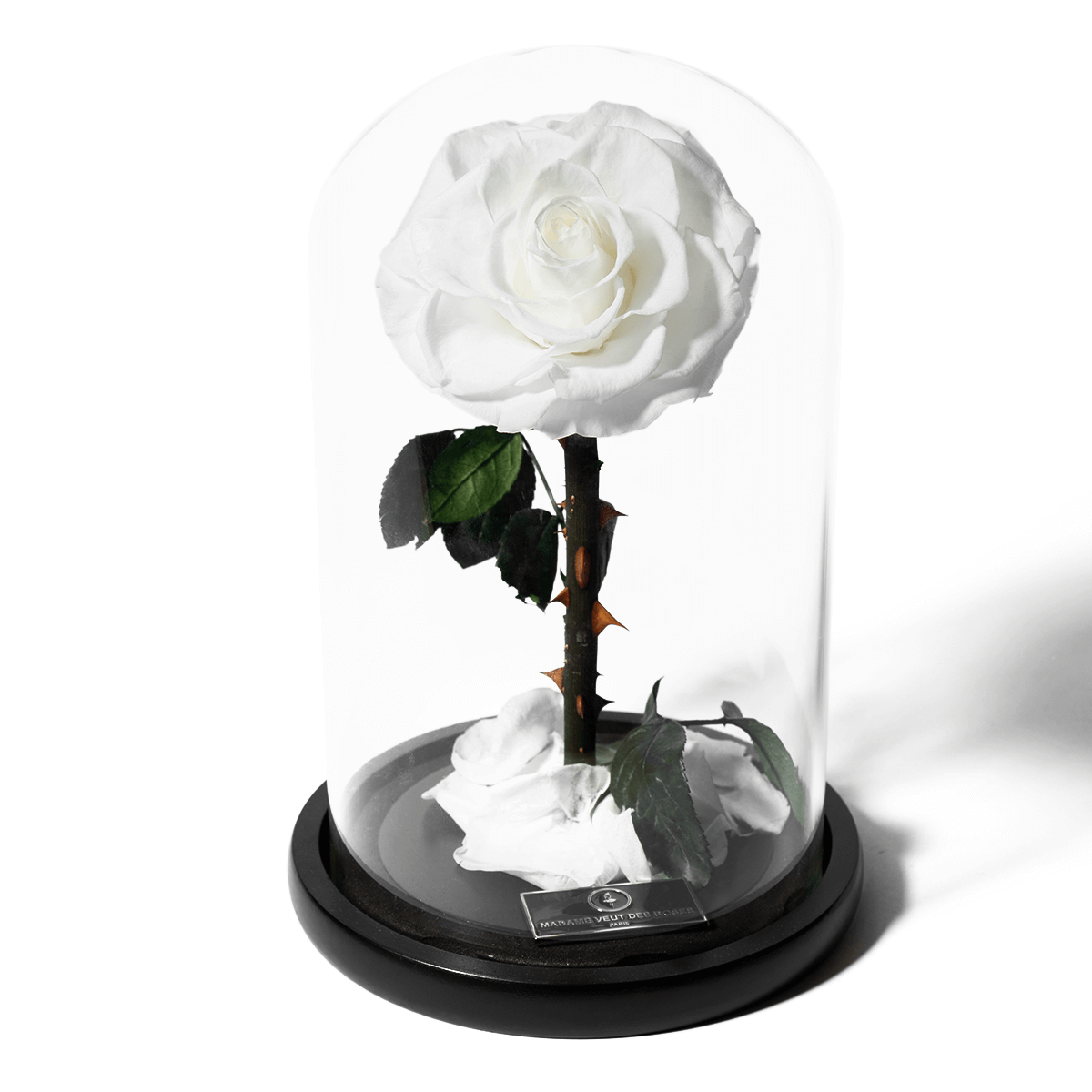 Rose éternelle sous cloche - Madame Veut Des Roses