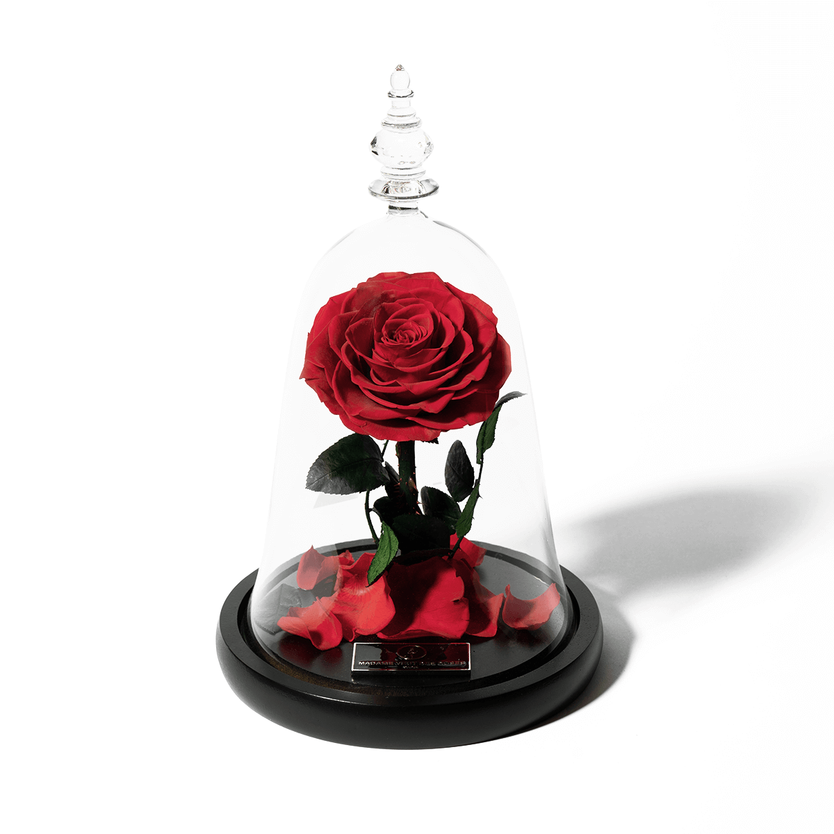 Rose éternelle sous cloche - Madame Veut Des Roses