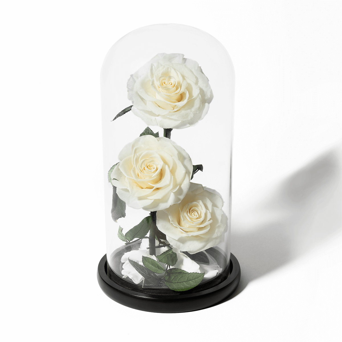 Rose éternelle sous cloche - Madame Veut Des Roses
