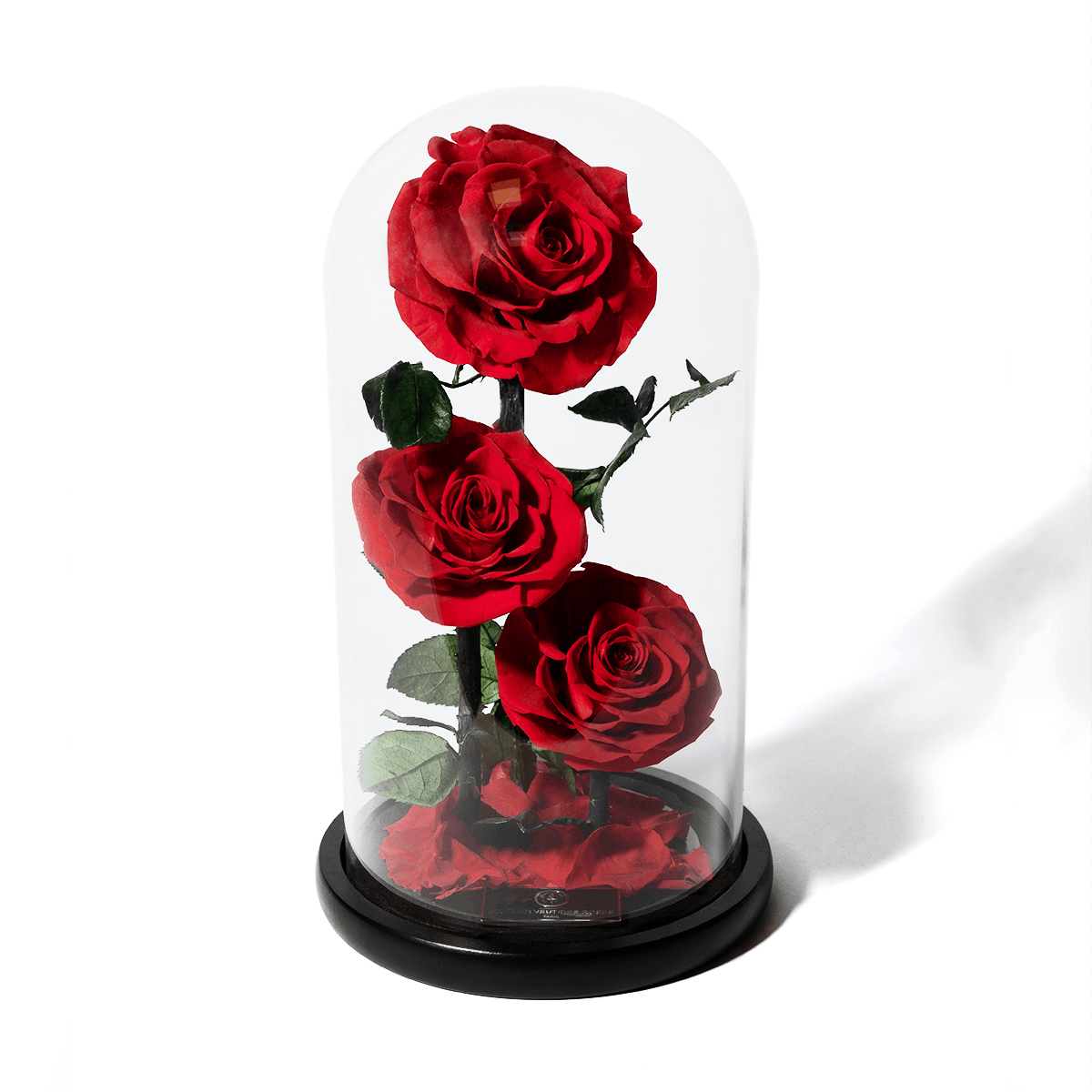 Rose éternelle sous cloche - Madame Veut Des Roses