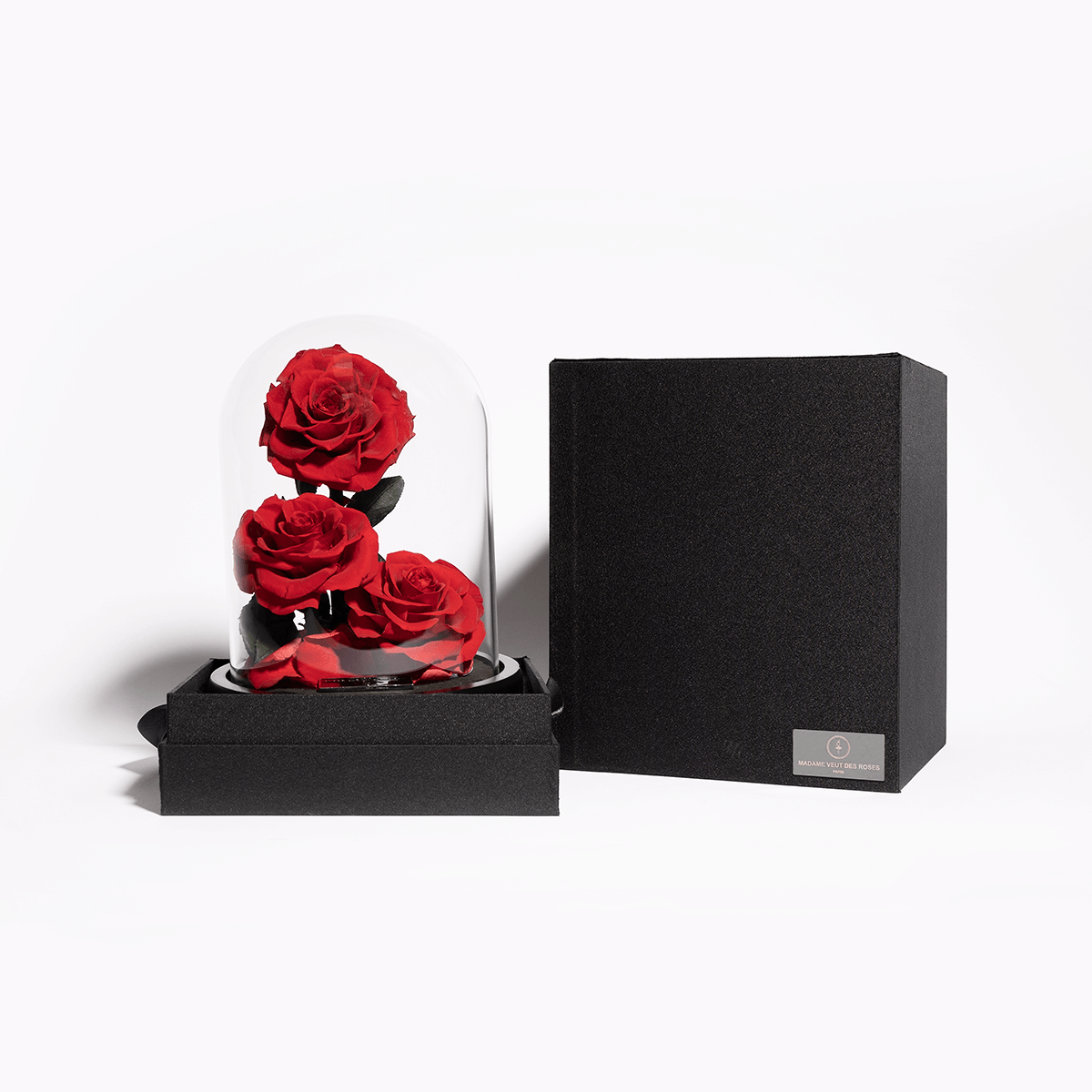 Rose éternelle sous cloche - Madame Veut Des Roses
