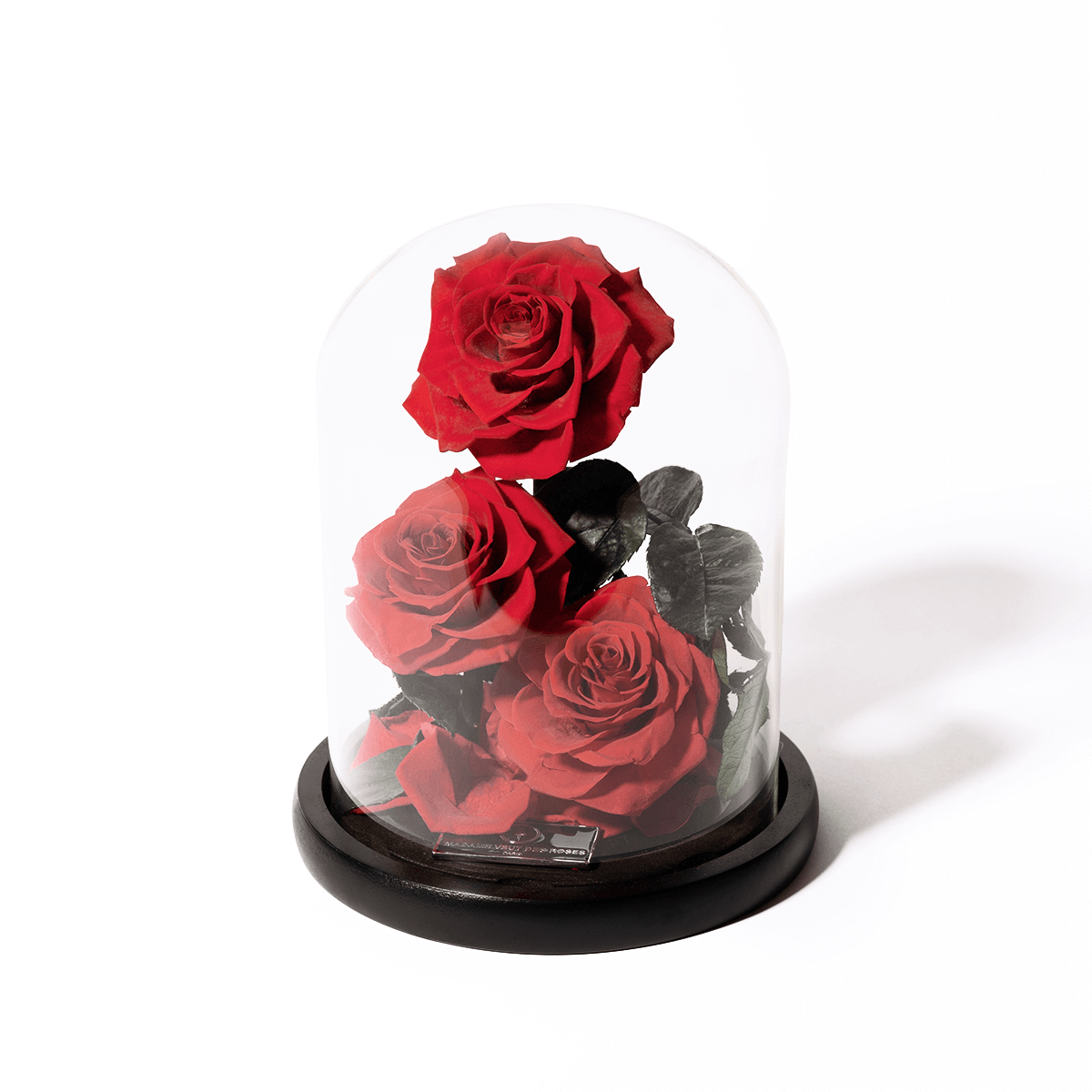 Rose éternelle sous cloche - Madame Veut Des Roses