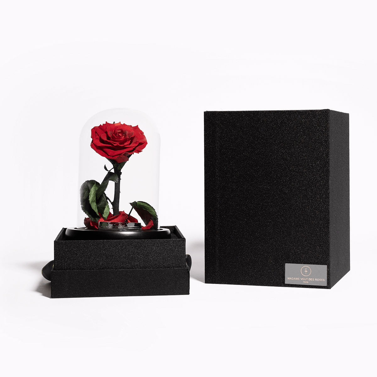 Rose éternelle sous cloche - Madame Veut Des Roses