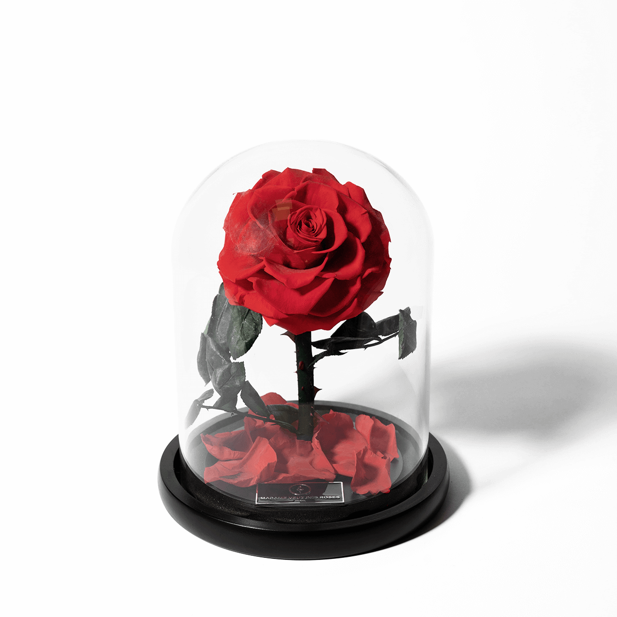 Rose éternelle sous cloche - Madame Veut Des Roses