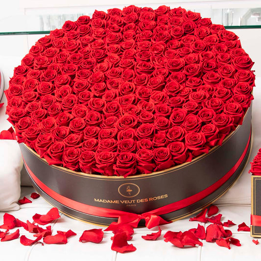 box roses éternelles rouges