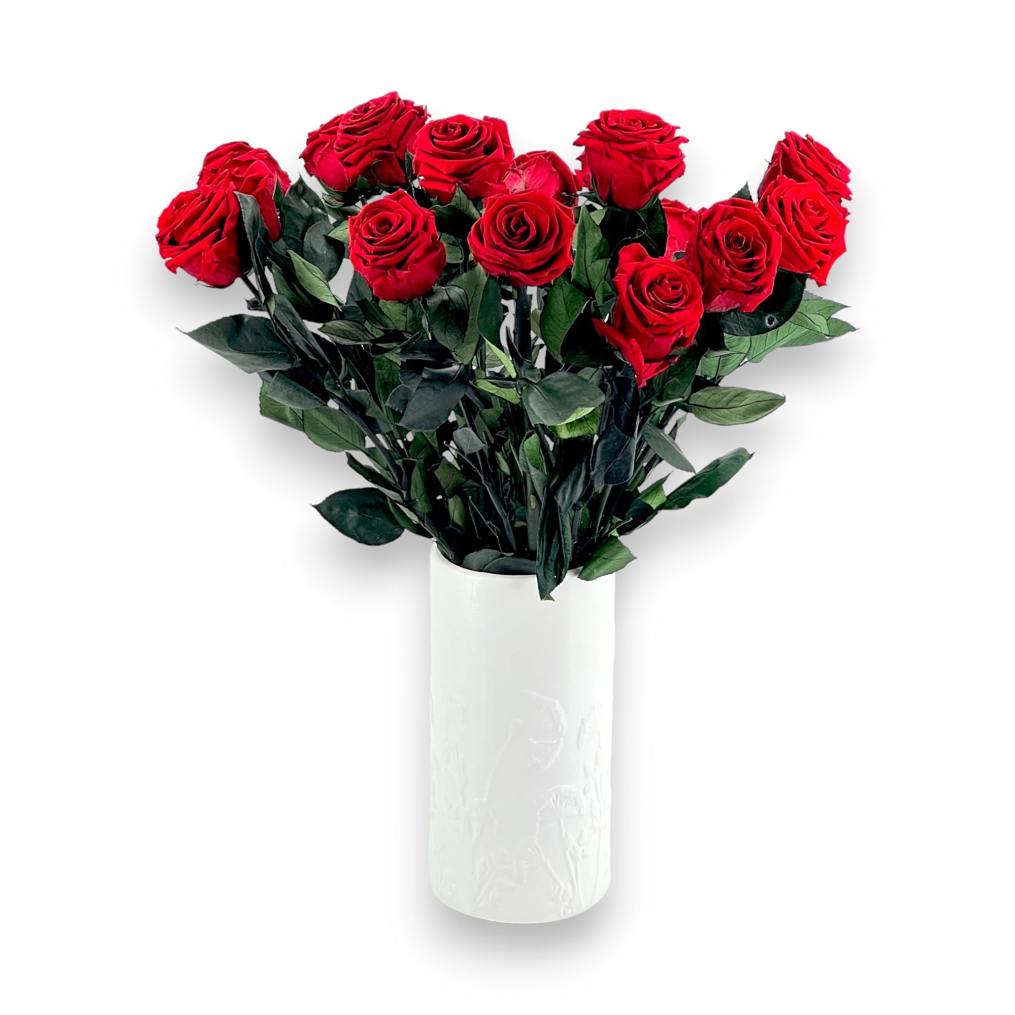 roses éternelles