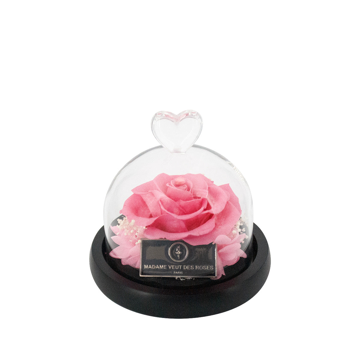 Rose éternelle sous cloche - Madame Veut Des Roses