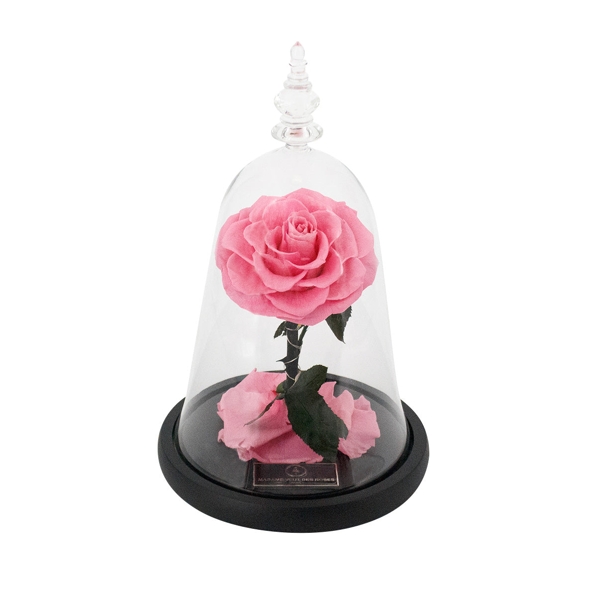 Rose éternelle sous cloche - Madame Veut Des Roses