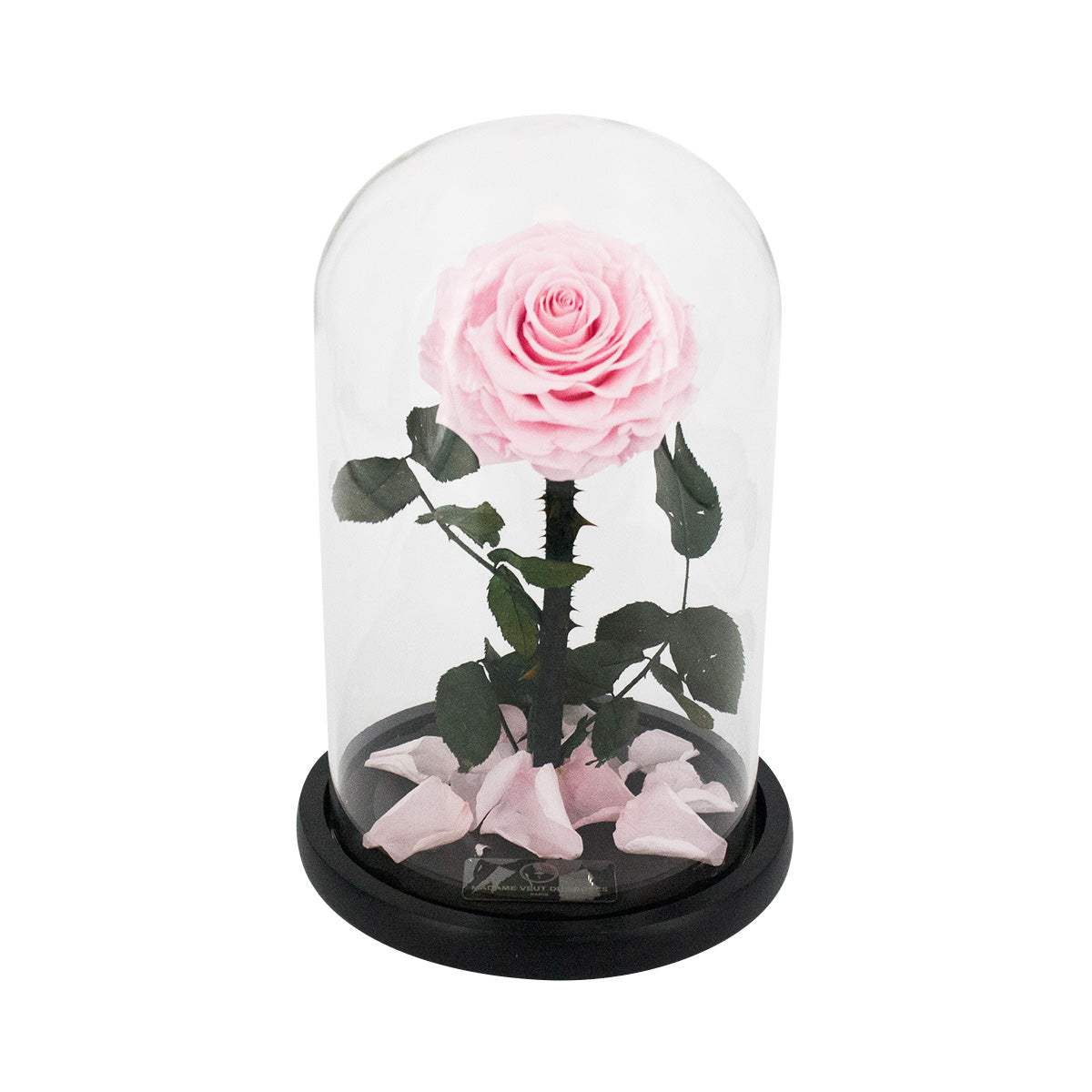 Rose éternelle sous cloche - Madame Veut Des Roses