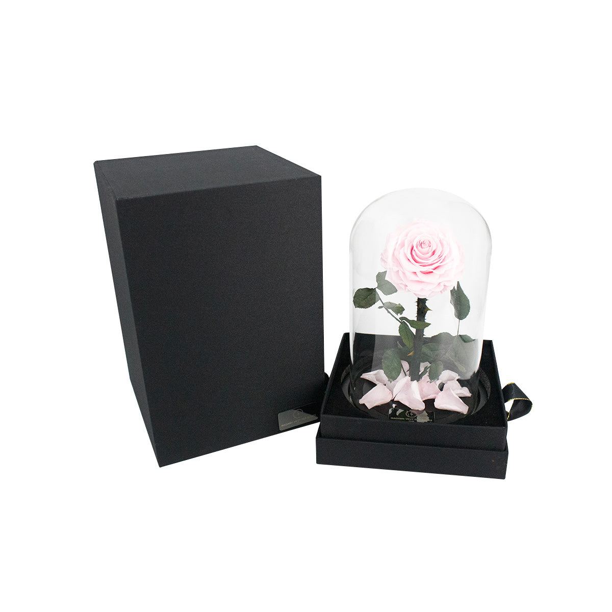 Rose éternelle sous cloche - Madame Veut Des Roses