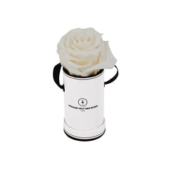 Rond Solo - Roses éternelles - Madame Veut Des Roses