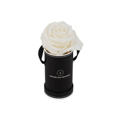 Rond Solo - Roses éternelles - Madame Veut Des Roses