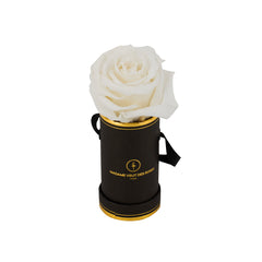 Rond Solo - Roses éternelles - Madame Veut Des Roses
