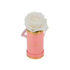 Rond Solo - Roses éternelles - Madame Veut Des Roses