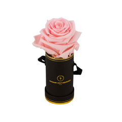 Rond Solo - Roses éternelles - Madame Veut Des Roses