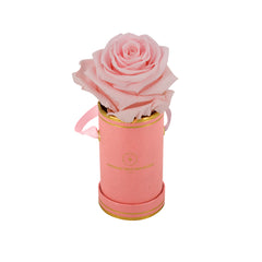 Rond Solo - Roses éternelles - Madame Veut Des Roses