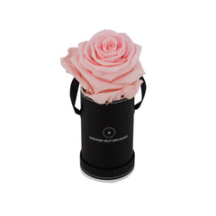 Rond Solo - Roses éternelles - Madame Veut Des Roses