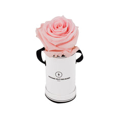 Rond Solo - Roses éternelles - Madame Veut Des Roses