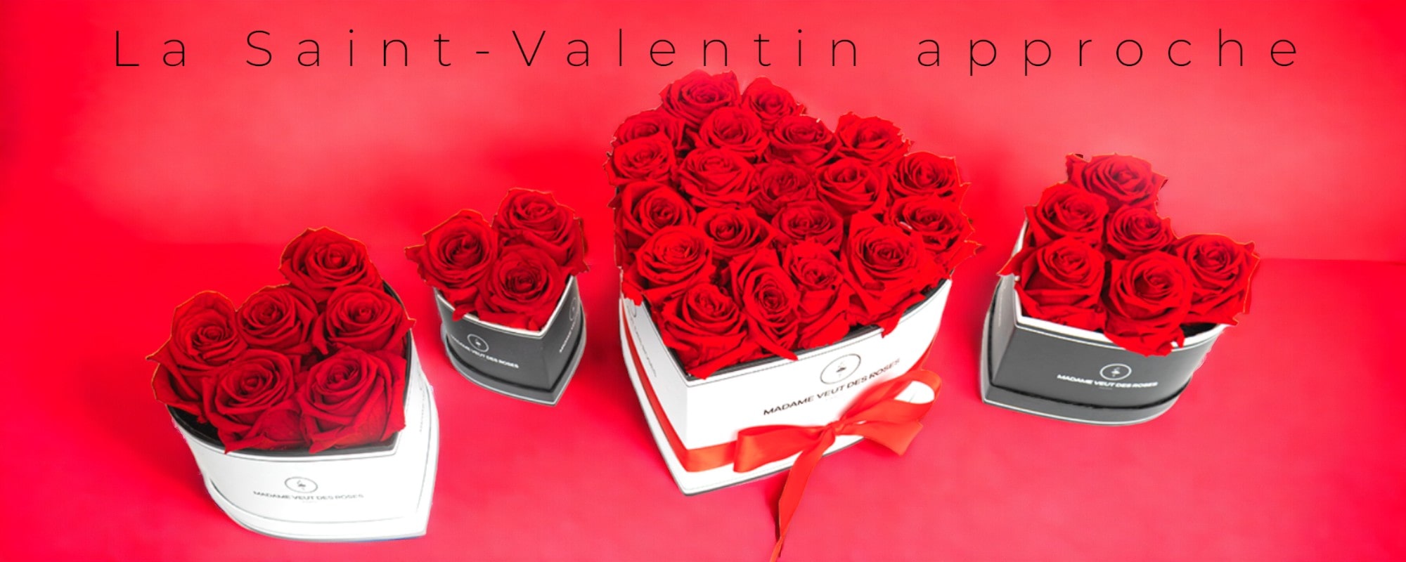 Rose De La Saint Valentin Cadeau Pour Couple Cadeaux Souvenir