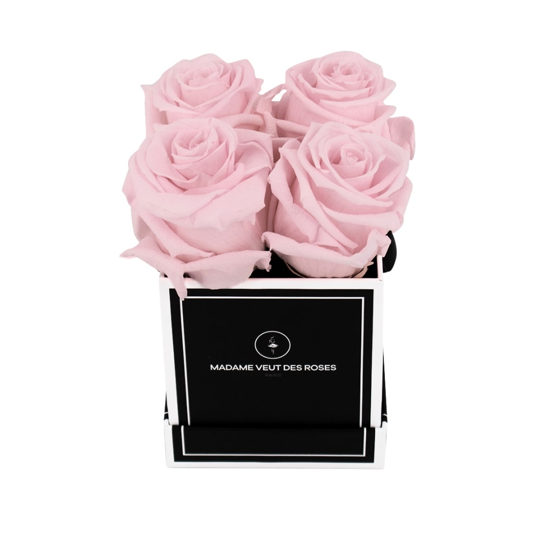 roses éternelles