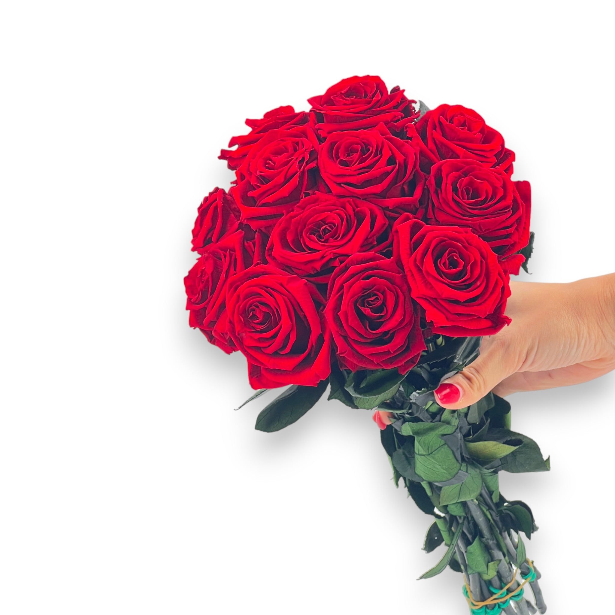 bouquet de roses éternelles