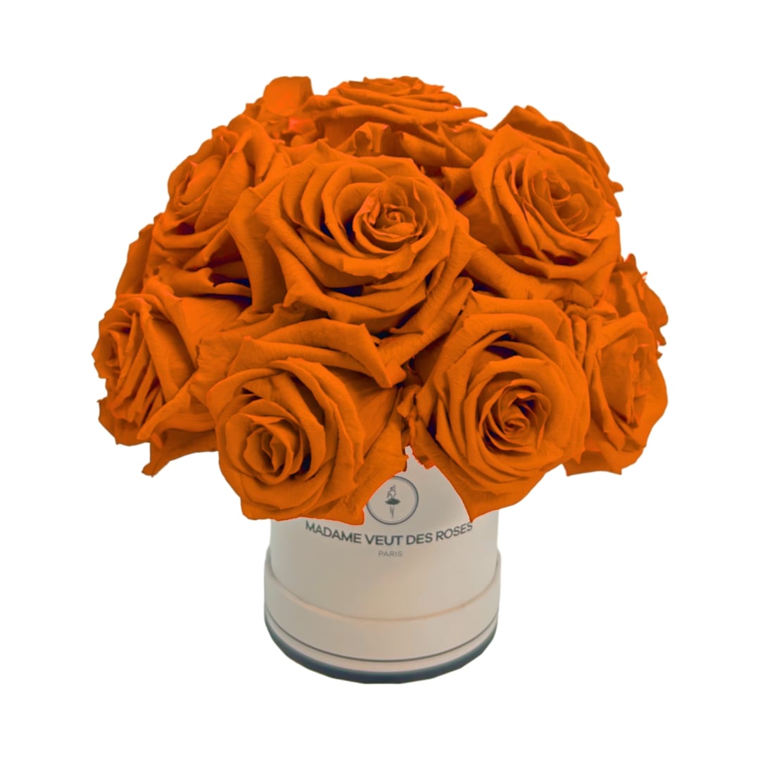 roses éternelles