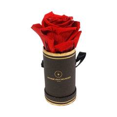 Rond Solo - Roses éternelles - Madame Veut Des Roses