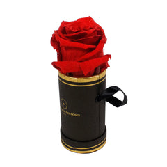 Rond Solo - Roses éternelles - Madame Veut Des Roses