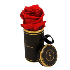 Rond Solo - Roses éternelles - Madame Veut Des Roses