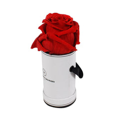 Rond Solo - Roses éternelles - Madame Veut Des Roses