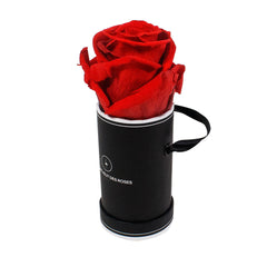 Rond Solo - Roses éternelles - Madame Veut Des Roses