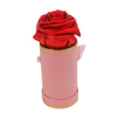 Rond Solo - Roses éternelles - Madame Veut Des Roses