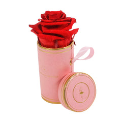 Rond Solo - Roses éternelles - Madame Veut Des Roses