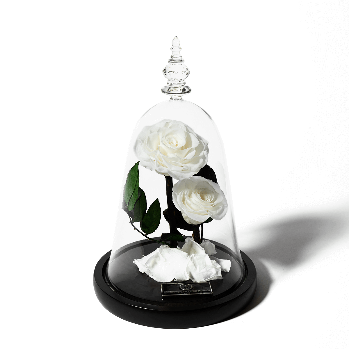 Rose éternelle sous cloche - Madame Veut Des Roses