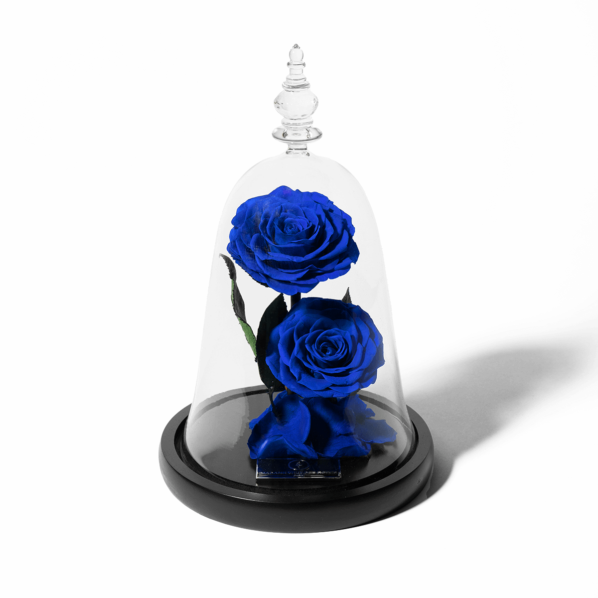 Rose éternelle sous cloche - Madame Veut Des Roses