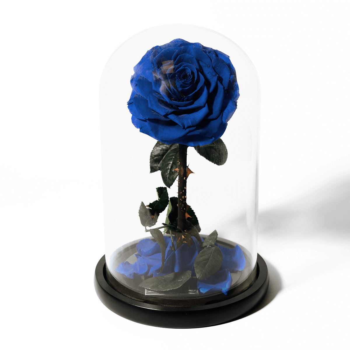 Rose éternelle sous cloche - Madame Veut Des Roses