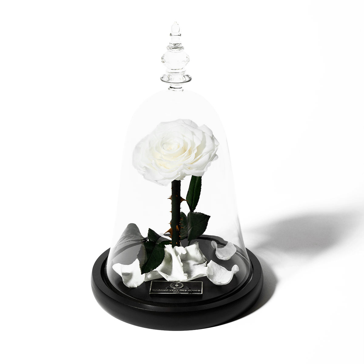 Rose éternelle sous cloche - Madame Veut Des Roses