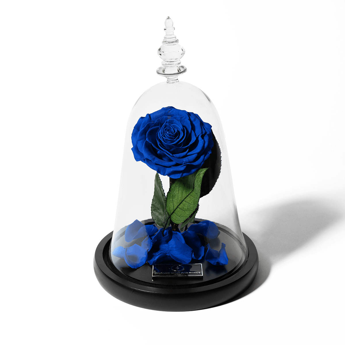 Rose éternelle sous cloche - Madame Veut Des Roses