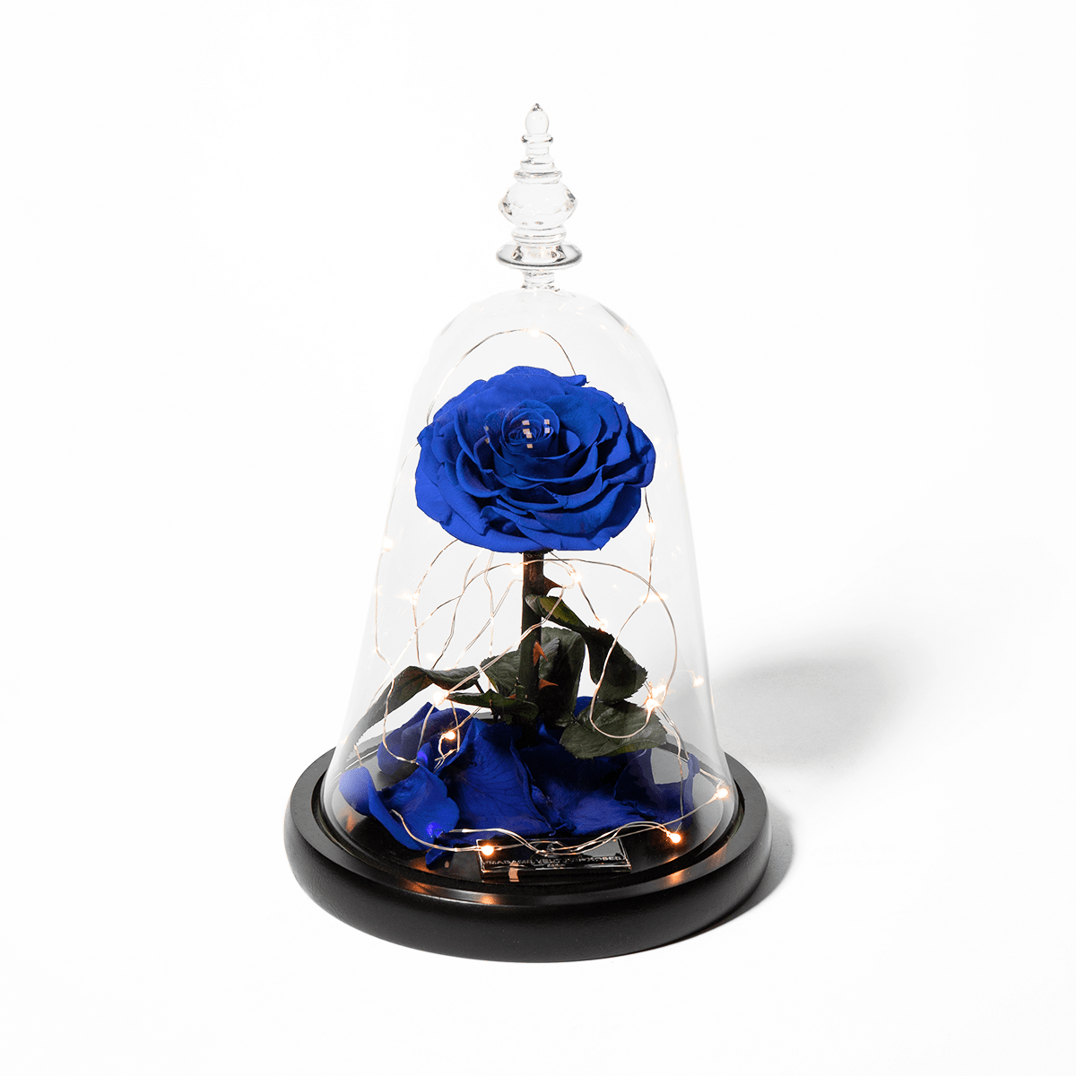 Rose éternelle sous cloche - Madame Veut Des Roses