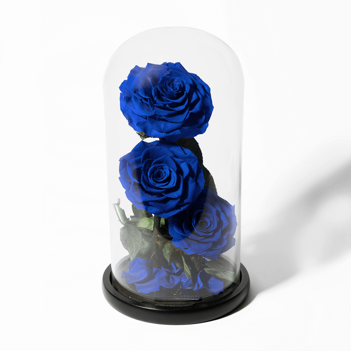 Rose éternelle sous cloche - Madame Veut Des Roses