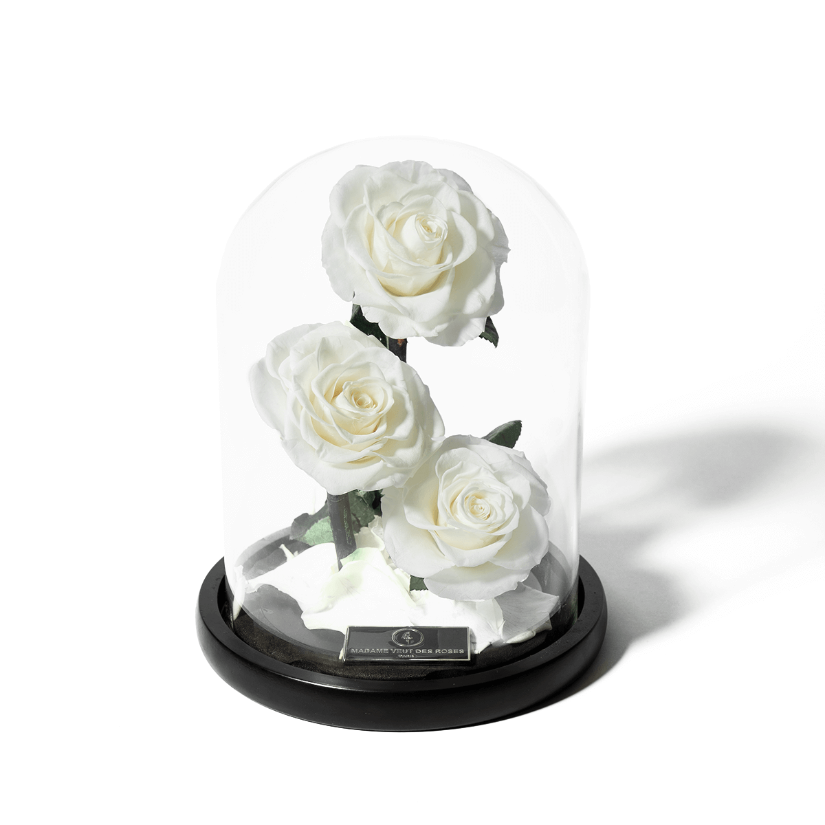 Rose éternelle sous cloche - Madame Veut Des Roses