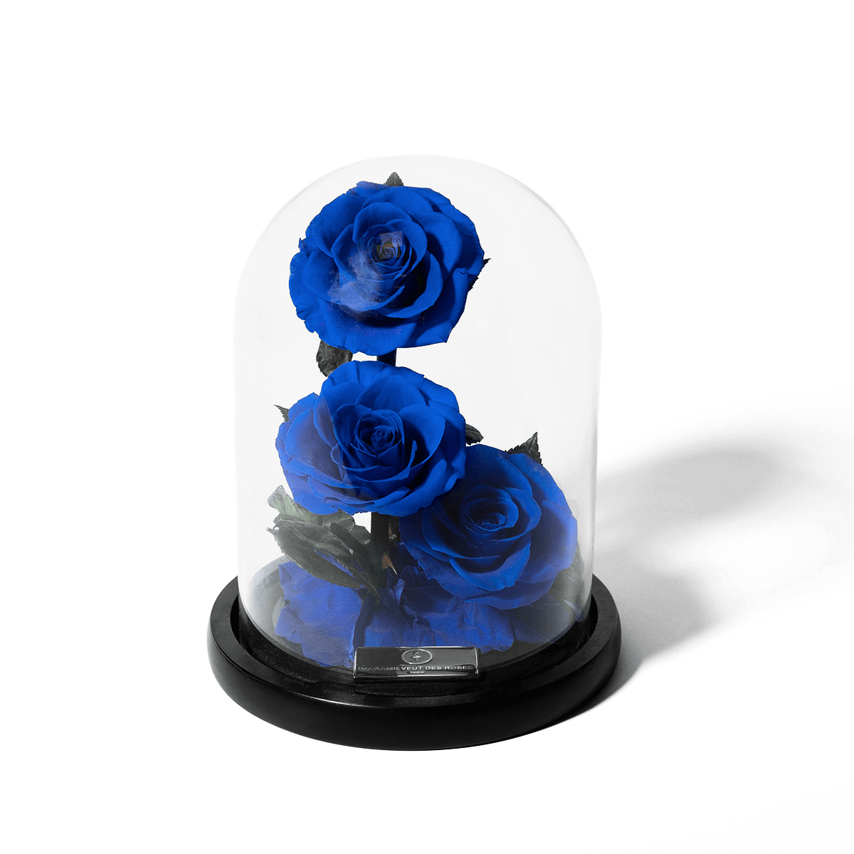 Rose éternelle sous cloche - Madame Veut Des Roses