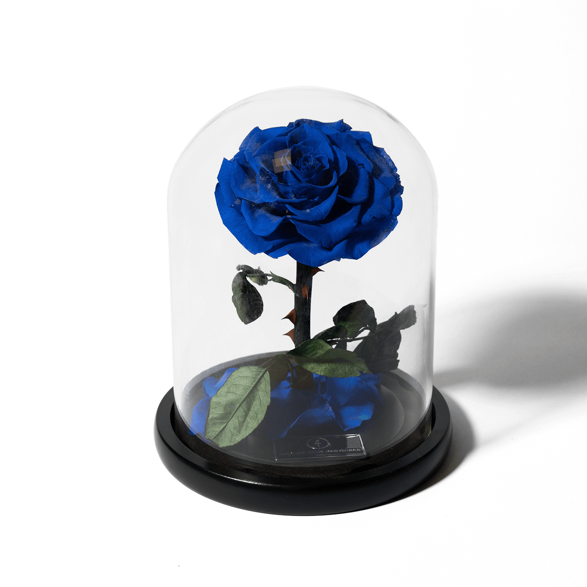 Rose éternelle sous cloche - Madame Veut Des Roses