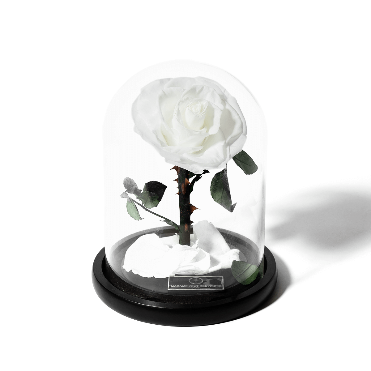 Rose éternelle sous cloche - Madame Veut Des Roses